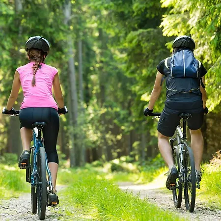 Tematin Hotel Piest'any