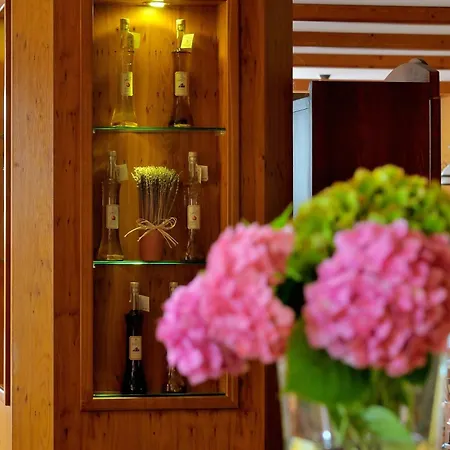 Hotel Tematin Piest'any