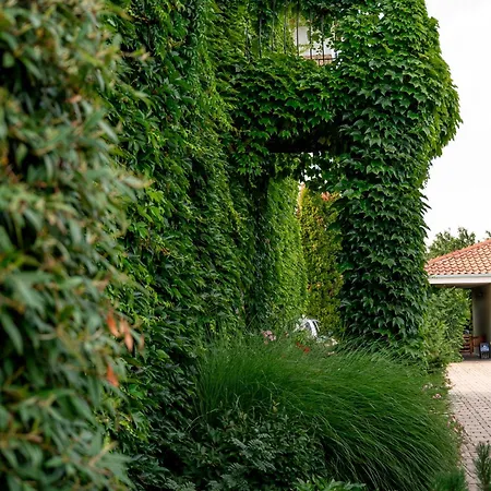 Hotel Tematin