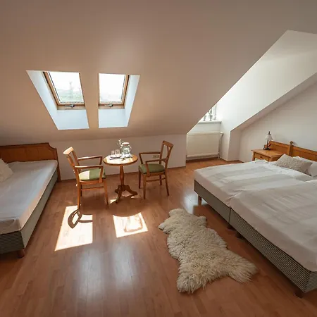 Hotel Tematin 3*
