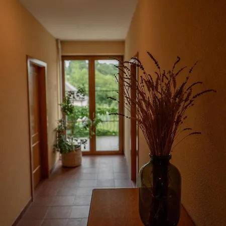 Tematin Hotel Piest'any
