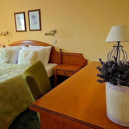 Hotel Tematin 3*
