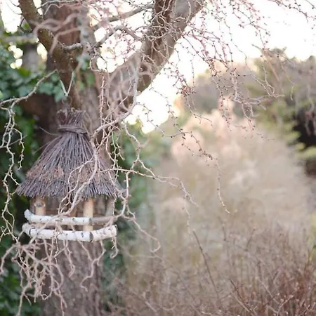 Tematin 3* Piest'any